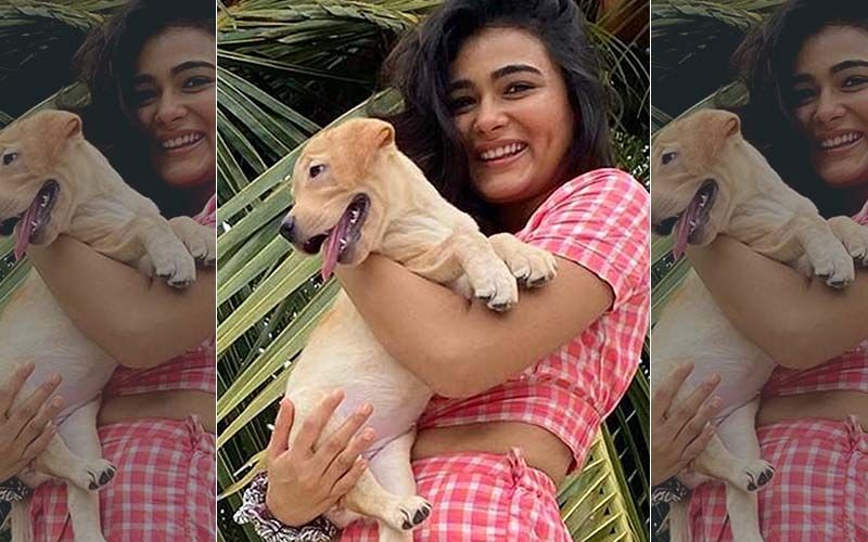 Ranveer Singh’s Jayeshbhai Jordaar Co-Star Shalini Pandey Brings Home A Puppy; Actress Gushes Over Her New Companion: ‘It’s The Most Beautiful Feeling