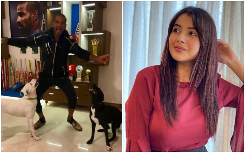 Shikhar Dhawan And His Cute Pet Dogs Groove To Shehnaaz Gill's Viral 'Twada Kutta Tommy' Mashup; Bigg Boss 13 Star Reacts