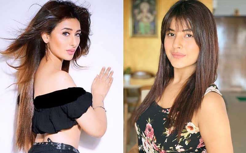 Mahira Sharma Buys Shehnaaz Gill’s Fan Pages On Twitter CONTROVERSY: Finally, A Statement From The Bigg Boss 13 Contestant's End