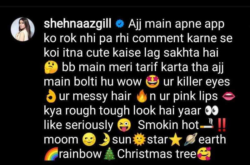 shehnaazgillcomment