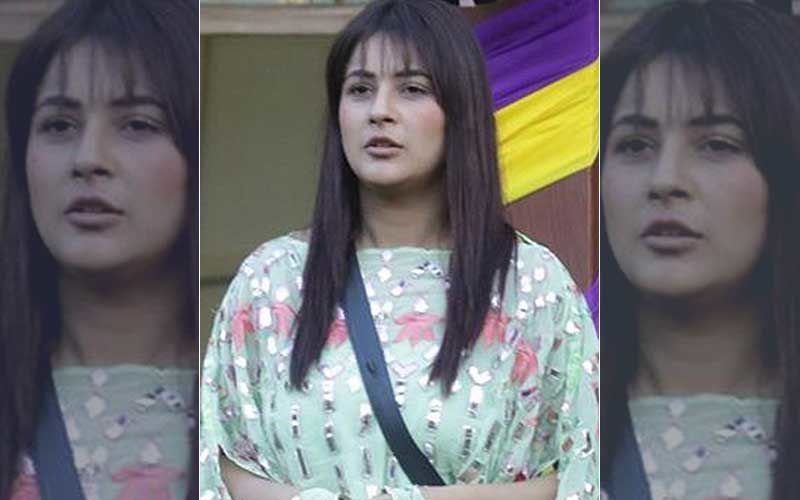 Bigg Boss 13’s Shehnaaz Gill’s Paternal Grandmother Hospitalised; Father Posts A Pic And Asks Fans To Pray For Her