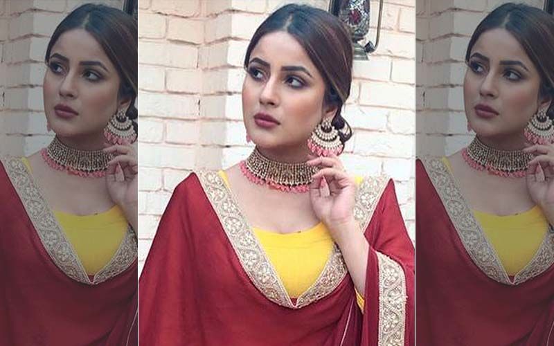 Bigg Boss 13: Shehnaaz Gill To Find A Groom For Herself In A Swayamvar - Is This For Real?