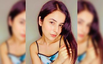 Bigg Boss 14: When BB 13 Contestant Shehnaaz Gill Had Stormed Out Of A Press Conference After Being Called 'Bin Painde Ka Lota' – Video