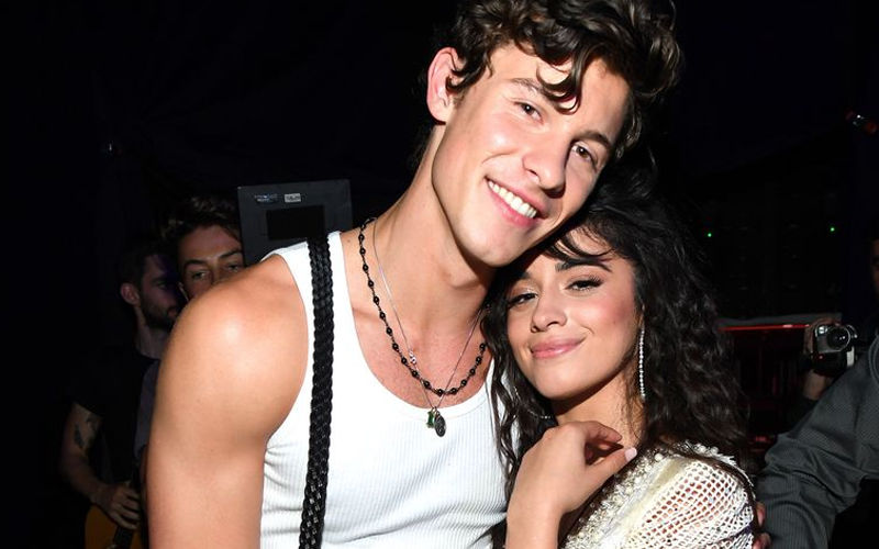 Camila Cabello And Shawn Mendes Take Their PDA To The VMAs; Get Trolled Instead