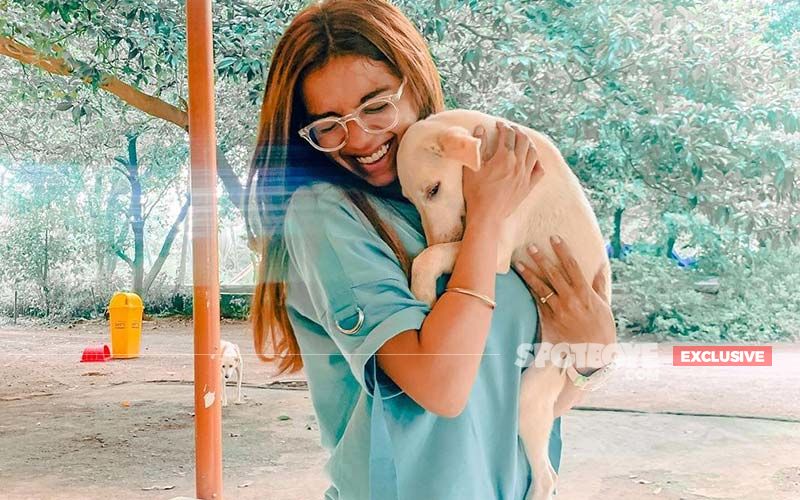 International Dog Day 2021: Simran Budharup Speaks About Her Love For Little Furry Friends; Shares She Has Started Putting Reflective Belts To Protect Street Dogs - EXCLUSIVE