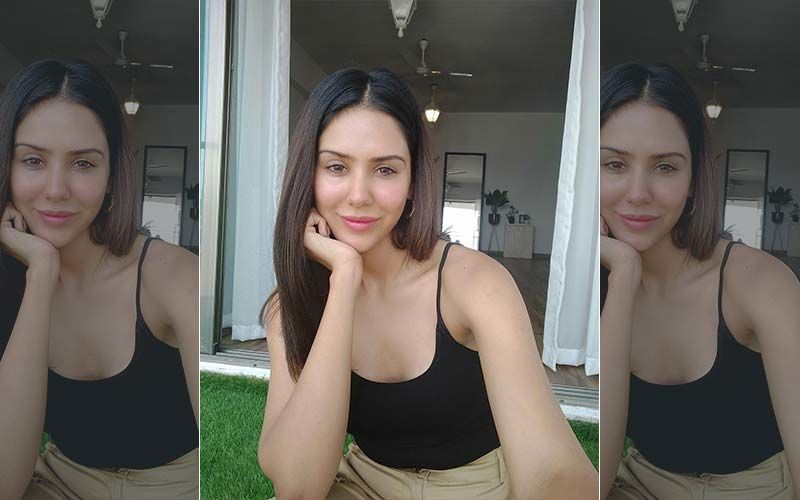Sonam Bajwa Shares Simple Yet Elegant Selfie On Insta
