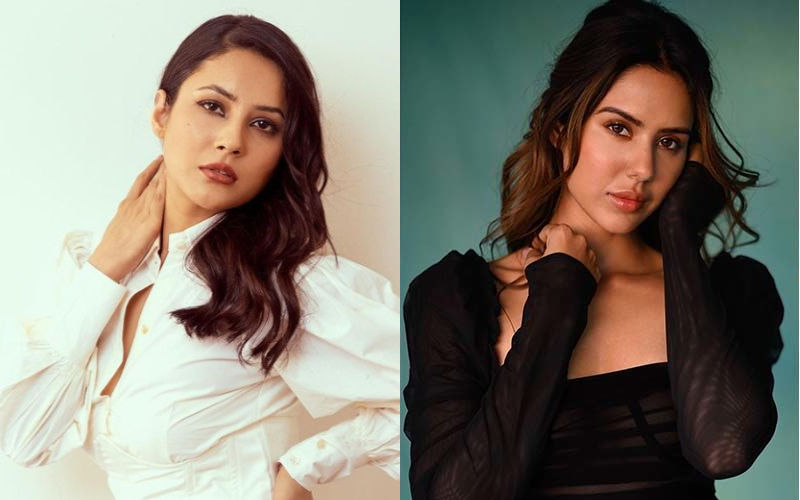 After Shehnaaz Gill, Sonam Bajwa Says She Was Sidelined In Punjabi Industry; Actress Reveals, ‘Makers Would Remove Me From A Film Without Telling Me’