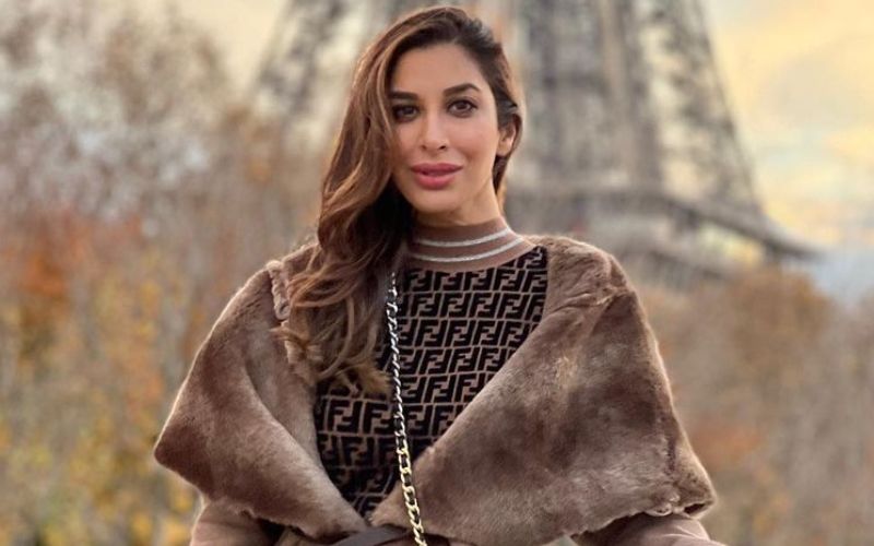 Sophie Choudry Hits Back At Trolls Questioning Her Accent; Says, ‘Brought Up In England, Studied In Paris, Working In India’