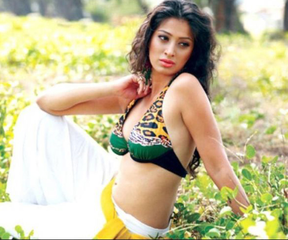 south indian actress raai laxmi