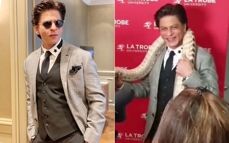 Watch Shah Rukh Khan's Hilarious Reaction When A Snake Is Put Around His Neck And The Coordinator Says 'See You Later'