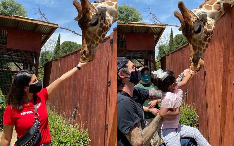 Sunny Leone, Daniel Weber And Their Kids Feed A Giraffe; Lady Feels ‘Blessed’ To Be Supporting Wildlife Learning Center