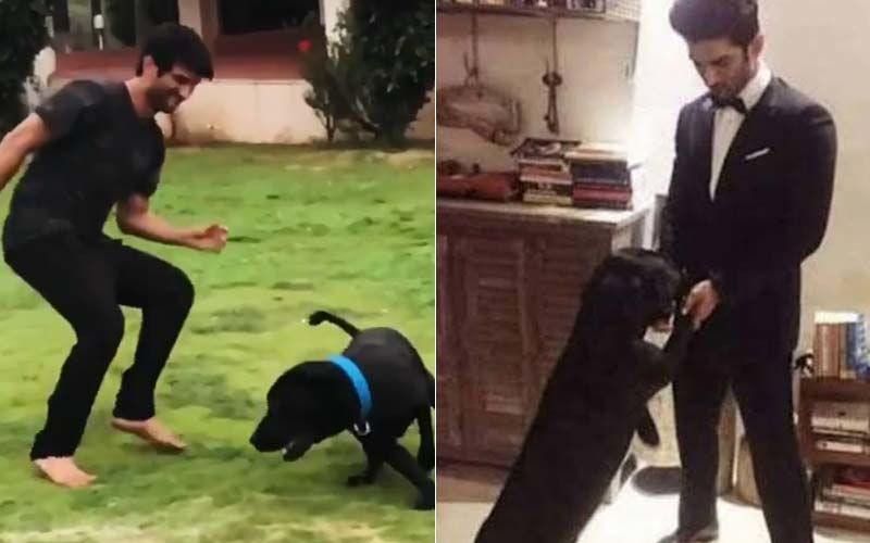 Rumours Of Sushant Singh Rajput’s Pet Dog Fudge Passing Away In Grief After SSR’s Death Are UNTRUE