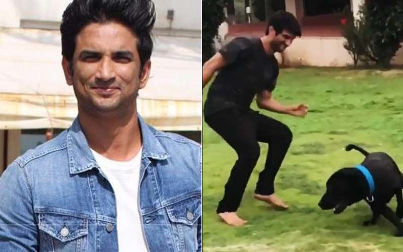 Sushant Singh Rajput’s Former Assistant Shares His Theory About SSR Being ‘Murdered With His Dog Fudge's Belt’