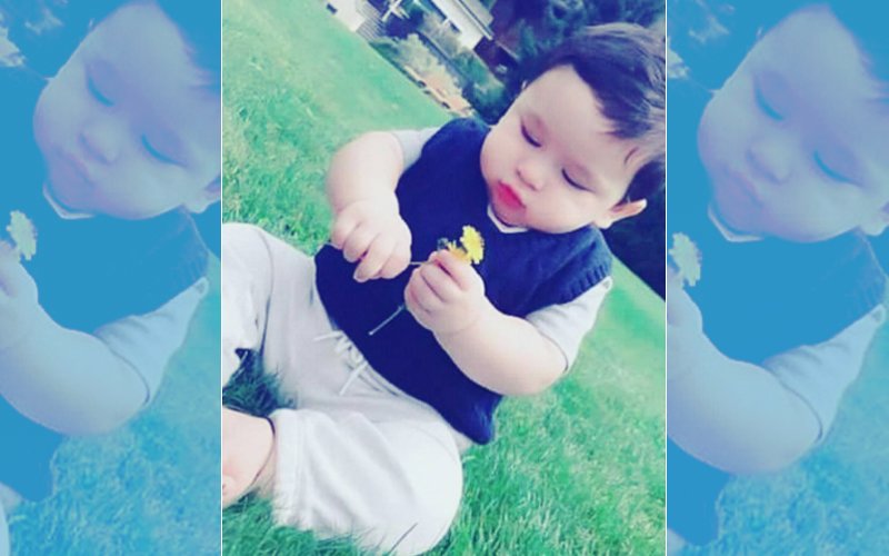 Taimur Ali Khan Looks Cute As A Button In His Latest Picture