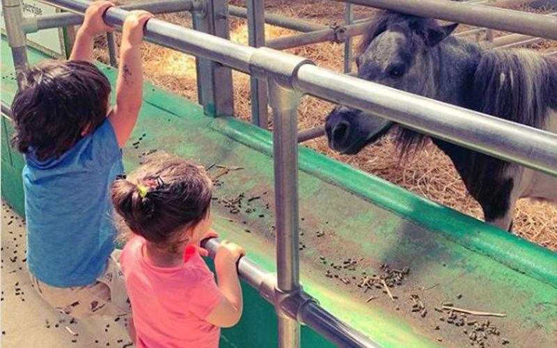 Taimur Ali Khan And Inaaya Hanging Around At A Farm In England Is Too Cute For Words