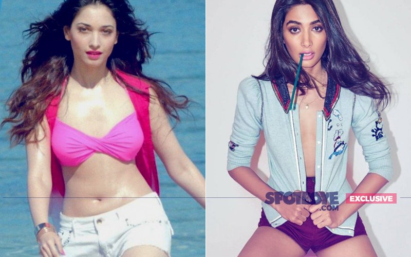 Tamannaah Bhatia Says No, Pooja Hegde Gets A Call: What’s The Deal?