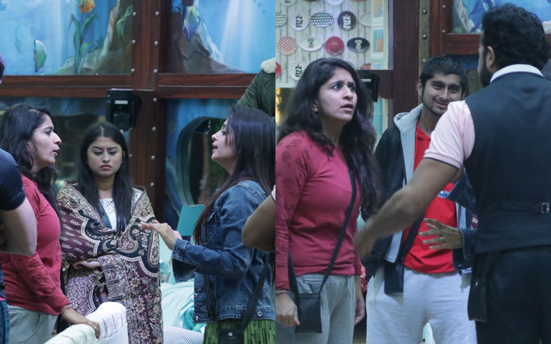 Bigg Boss 12, Day 87 Written Updates: Dipika Kakar-Surbhi Rana And Sreesanth-Romil Chaudhary Can't Stop Fighting