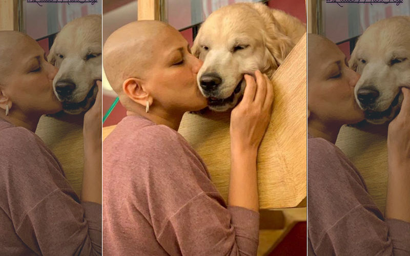 Sonali Bendre Is Back Home And Delighted To Reunite With Her Pet Dog, Icy