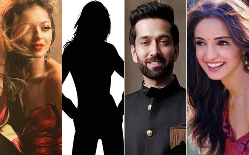 Ishqbaaaz: Not Drashti Dhami Or Sanaya Irani, This Actress Will Romance Nakuul Mehta Post Leap