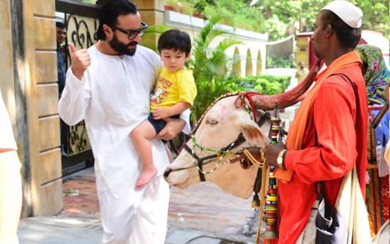 Taimur And Saif Ali Khan's Holy Encounter With A Cow!