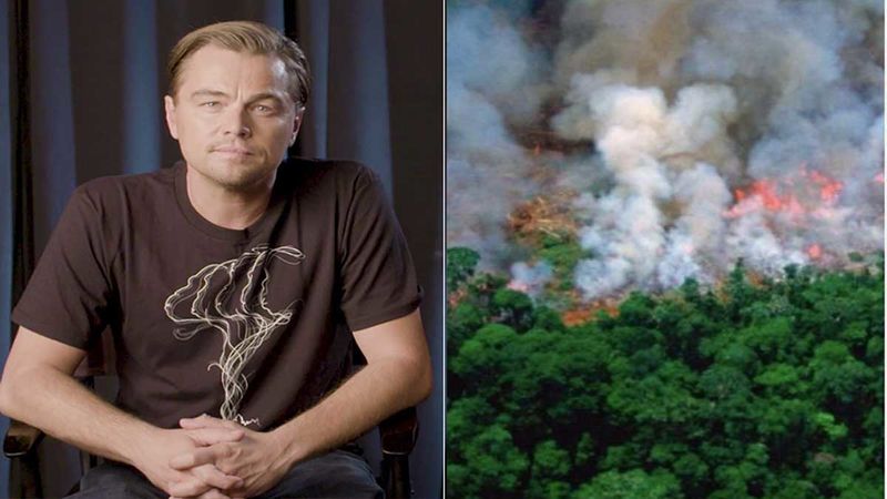 Leonardo Di Caprio Reacts To Brazil President Accusing Him Of Funding The Amazon Rainforest Fires