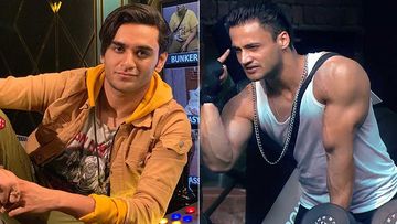 Bigg Boss 13: Did Vikas Gupta Just Expose Asim Riaz's Lie With This Video?