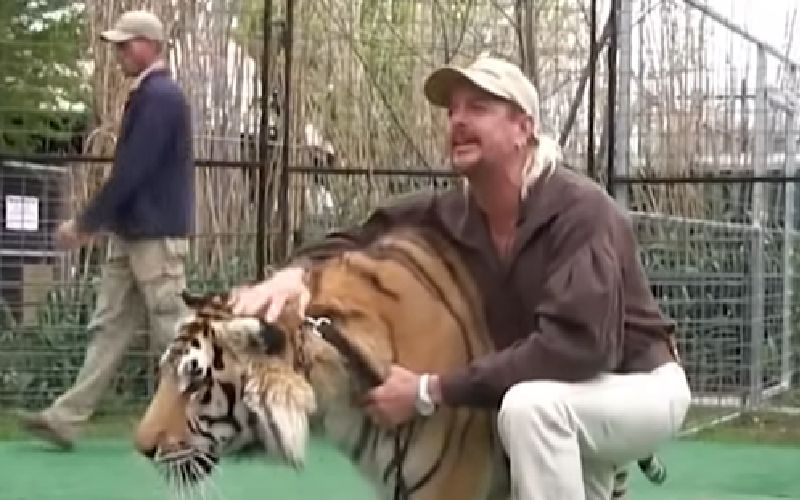 PETA Comes Up With Tiger King's Joe Exotic Limited Edition Costume For Halloween; Saying 'Tiger Killer Belongs Behind Bars'