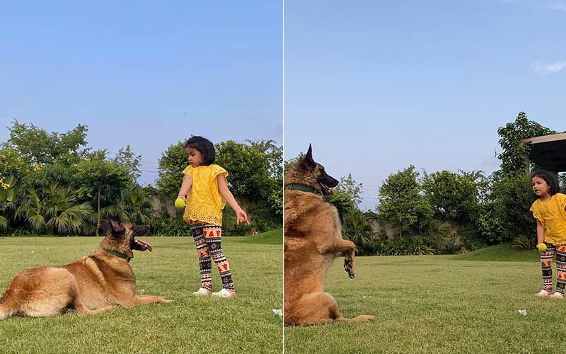 MS Dhoni’s Little Princess Ziva Dhoni Is A Master In Dog Training; Teaches Her Obedient Pet Basic Commands Like A Pro- WATCH