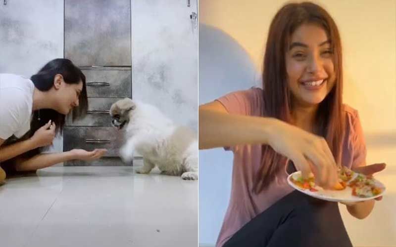 Bigg Boss 13’s Rashami Desai And Shehnaaz Gill Entertain Amid Lockdown With Their TikTok Videos; Rashami Goes For Cute, Sana's Is Cheeky AF