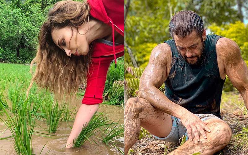 Iulia Vantur Shares A Pic Working In The Fields And Is Surely Helping Salman Khan; Says She’ll Share Her Experience On YouTube Channel