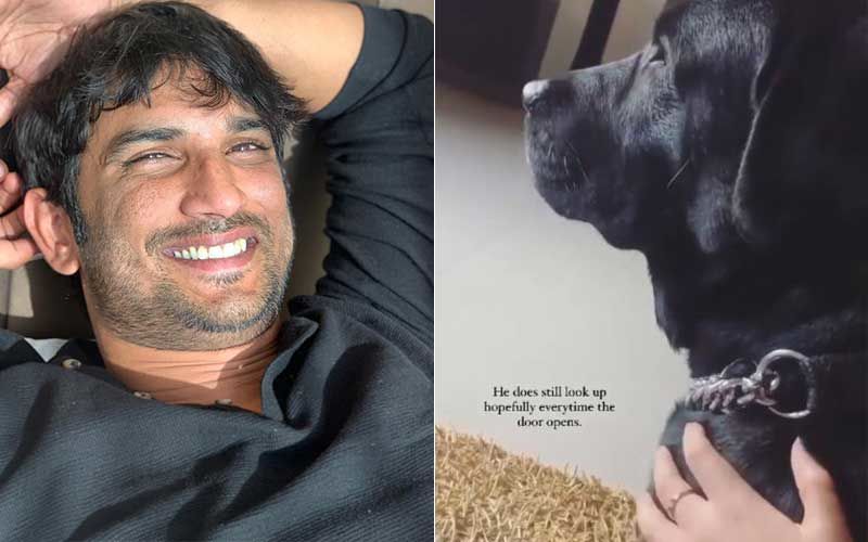 Sushant Singh Rajput’s Niece Mallika Plays With The Late Actor’s Pet Dog Fudge And Its All Heart