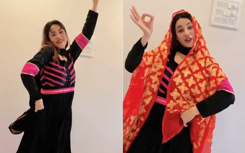 Bigg Boss 13 Fame Shehnaaz Gill Unleashes Her Inner Punjabi Girl While Dancing On Song ‘Deor De Vyah Vich’; Netizens React ‘Wow Punjaban Is Back’
