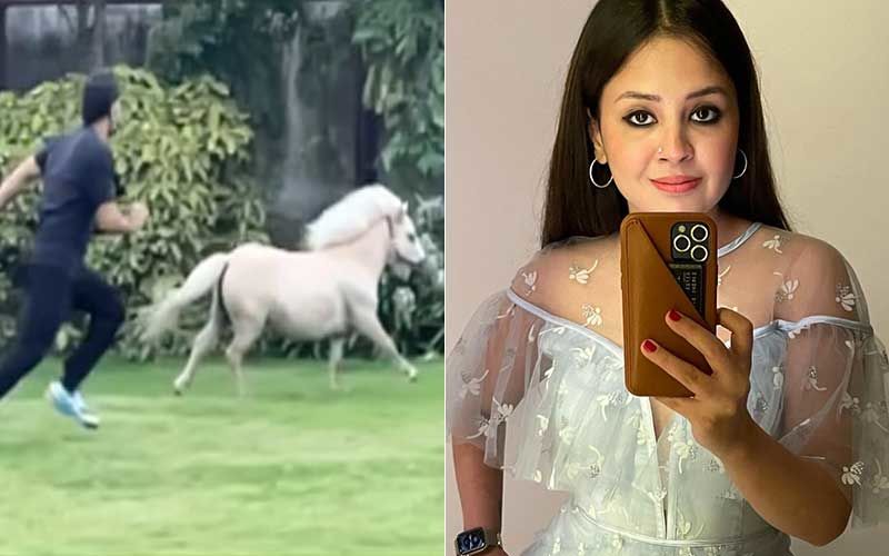 MS Dhoni’s Video Racing Against A Beautiful White Pony Is Adorable; His Wife Sakshi Dhoni Treats Fans With A Glimpse-WATCH
