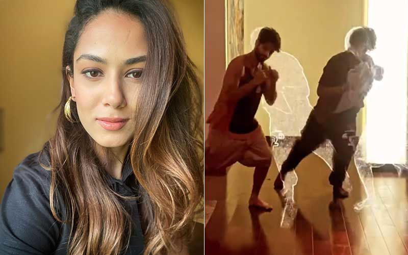 Mira Rajput Drops A Video Of ‘Twins’ Shahid Kapoor And Ishaan Khatter Grooving To A Song: Ananya Panday Feels ‘It’s The Chilli Paneer’