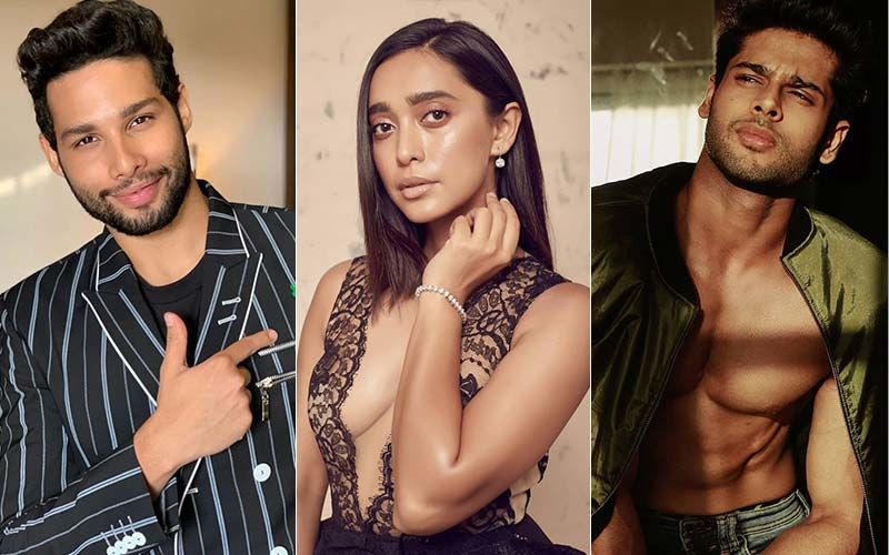 Siddhant Chaturvedi, Sayani Gupta, Abhimanyu Dassani- Standout Performers In Bollywood From First Half Of 2019!