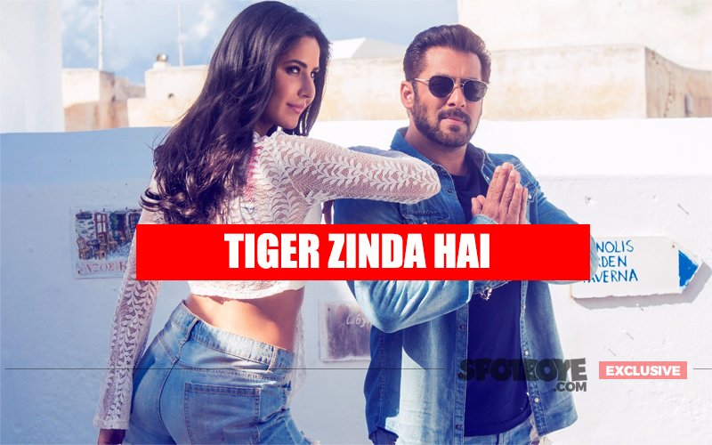 No Shadow Of Tubelight, Tiger Zinda Hai Will Romp Away To A Thundering 150 Crore In 4 Days: Trade Upbeat