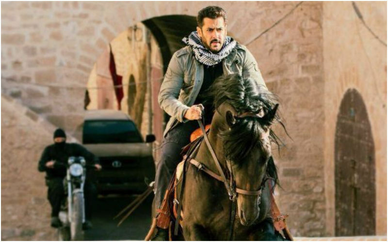 Tiger 3: Salman Khan Look-alikes Get SPOTTED Wearing The Iconic Scarves, Days Before The Movie’s Release- Take A Look