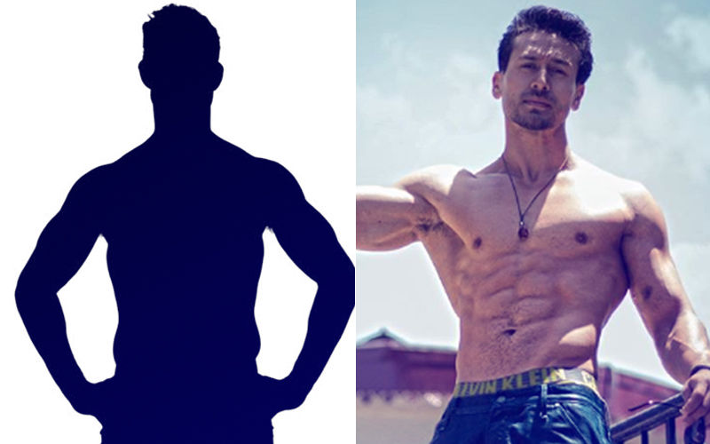This TV Heartthrob Will Battle It Out Against Tiger Shroff In Student Of The Year 2