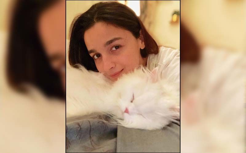 Alia Bhatt's Quarantine Snapshots Are The Perfect Way To Spend Time With Your Family