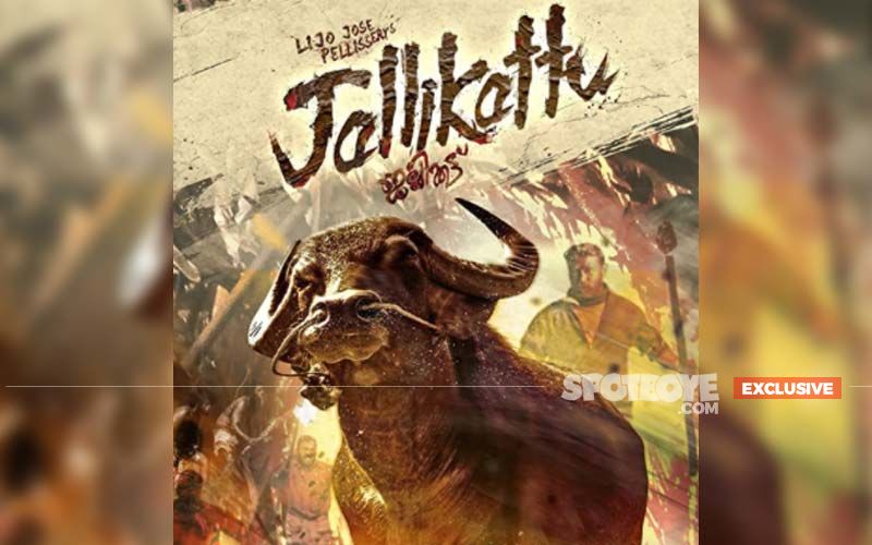 Jallikattu For Oscars 2021: Bollywood Didn’t Stand A Chance At Oscar Selection; The Disciple And Jallikattu Were Neck-To-Neck- EXCLUSIVE
