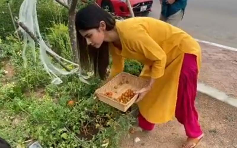 Mouni Roy Is 'Exasperated But Happy' As She Plucks Fresh Tomatoes And Mint From Her Kitchen Garden During Lockdown