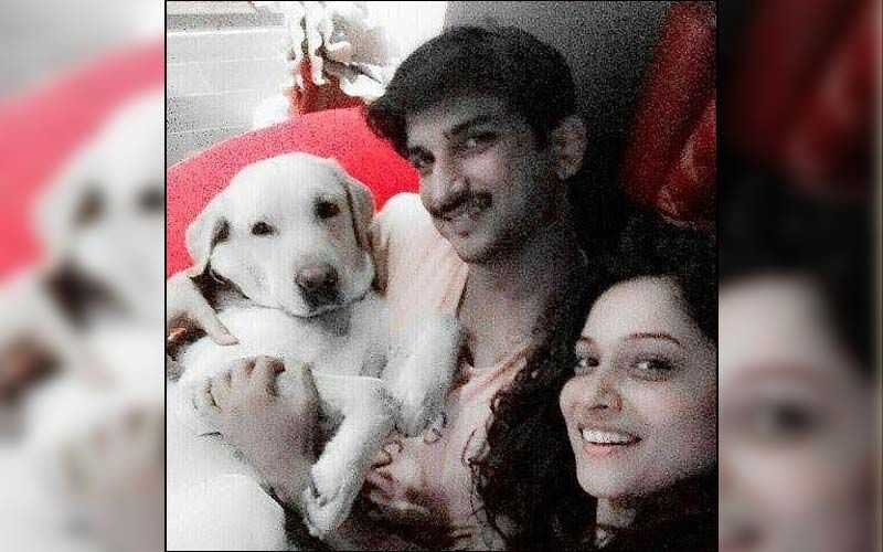 Sushant Singh Rajput And Former GF Ankita Lokhande Share Two Cute Dogs Hatchi And Scotch; Here's A Look At An Instagram Page Dedicated To These Two Paws