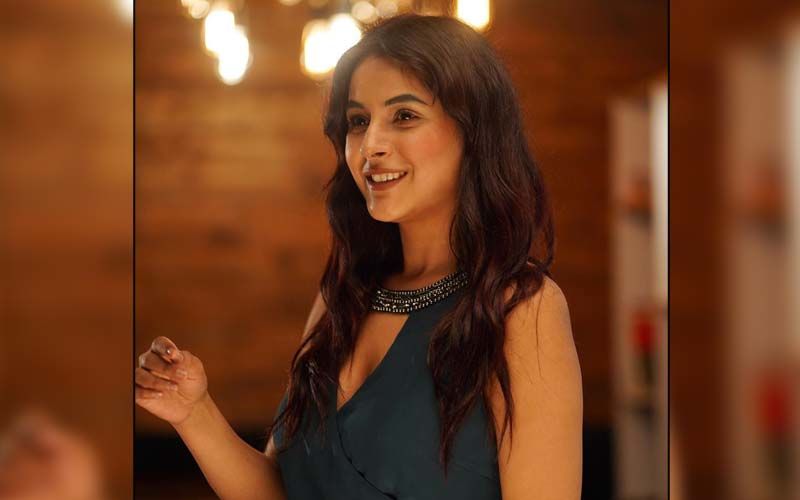 Bigg Boss 13's Shehnaaz Gill’s Lesser-Known Facts And Massive Net Worth That Will Make You Go WHAAAT