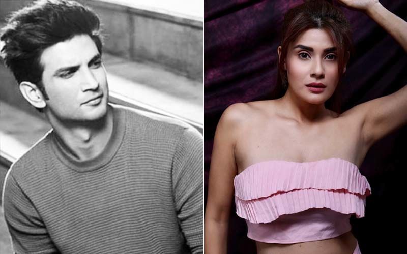 Sushant Singh Rajput Death: Shamin Mannan Says, 'I Don't Know If He Was Depressed But People Should Not Demean It As A Taboo'