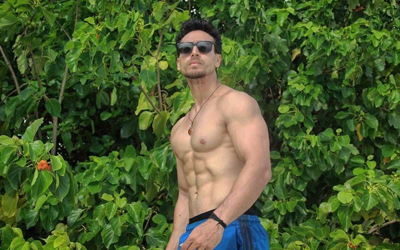 Tiger Shroff's Shirtless Pictures That Put His Godly Abs On Display; Snack On These, Girlies