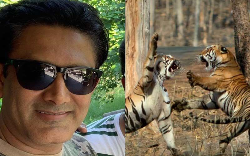 Anil Kumble’s Captivating Pics Of Once-In-A-Lifetime Sighting Of Tigress Maya’s Ferocious Chase Are Unmissable