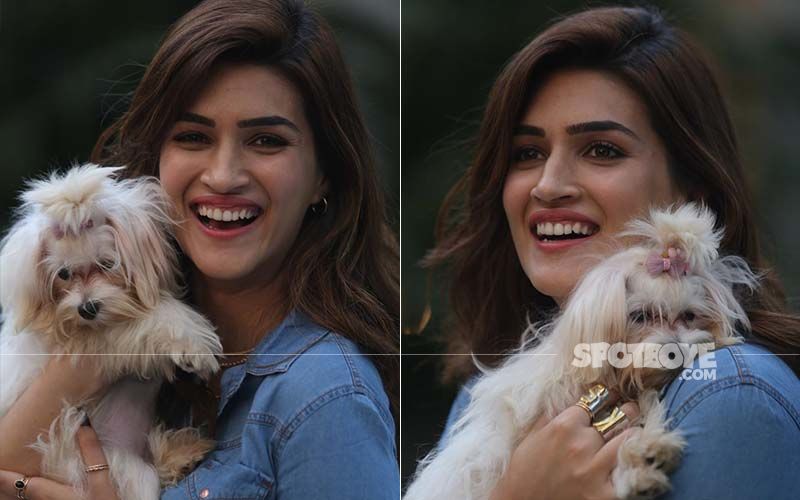 Kriti Sanon Shoots With Pooches; We Can’t Decide Who Looks Cuter