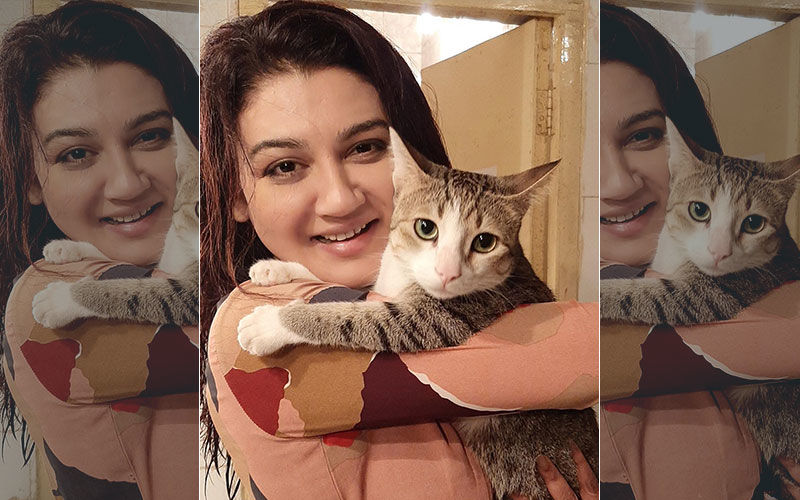 International Wild Life Day 2020: Actress Jaya Ahsan Shares Picture With Her Cat