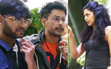 Bigg Boss 14 Day 19 SPOILER: Shardul Pandit FLIRTS With Pavitra Punia, Plays Cupid Between Nikki Tamboli- Jaan; New Captain Kavita Kaushik Takes Charge