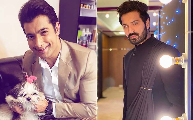 World Television Day 2019: Television Stars Sharad Malhotra, Mrunal Jain Have A Special Message For Their Fans